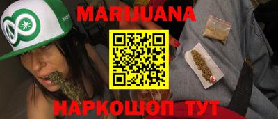 крисы Нальчик