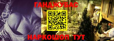 крисы Нальчик