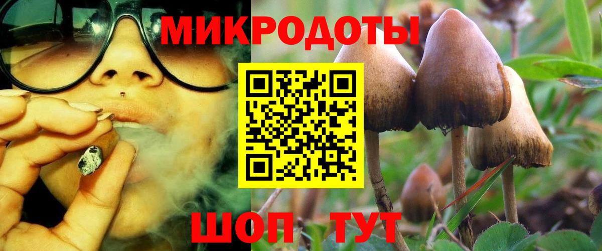 Хабаровск  Псилоцибиновые грибы GOLDEN TEACHER  цены   Вход с VPN  Галлюциногенные грибы Psilocybe 